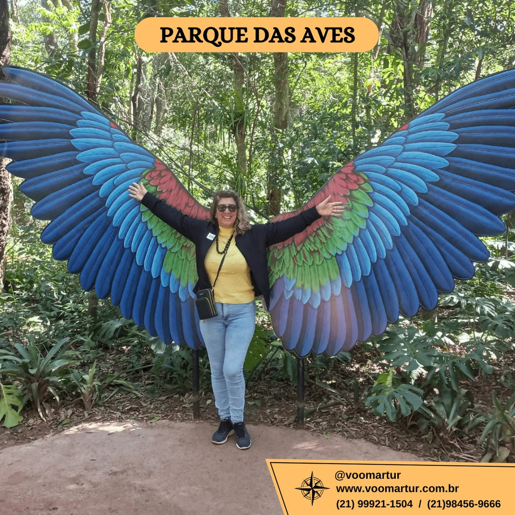 Foz do Iguaçu Aéreo - 16 a 21 de 2025