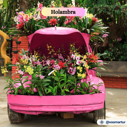 Expoflora, Flores e Morangos, Serra Negra e Pedreira - 04 a 07 Setembro 2025
