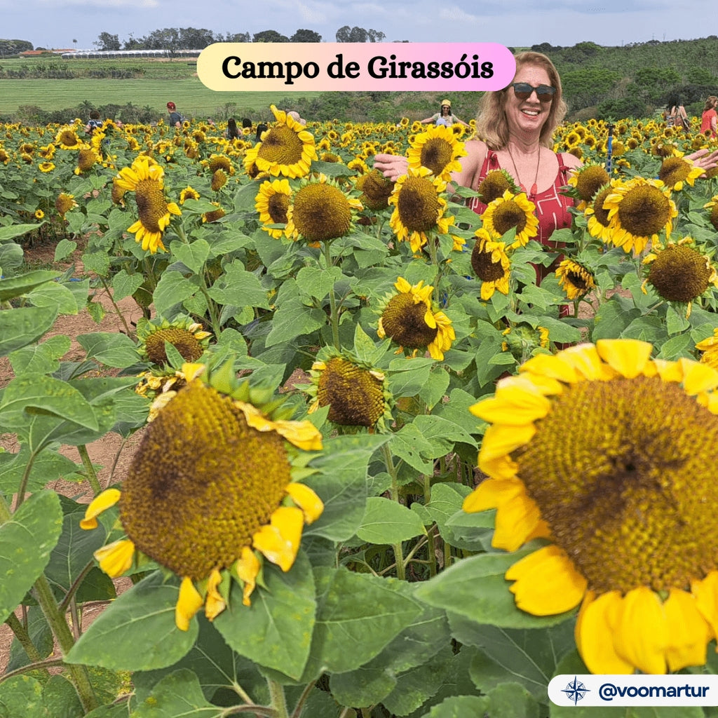 Expoflora, Flores e Morangos, Serra Negra e Pedreira - 04 a 07 Setembro 2025