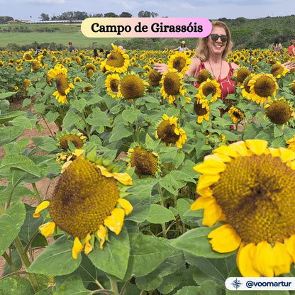 Expoflora, Flores e Morangos, Serra Negra e Pedreira - 04 a 07 Setembro 2025