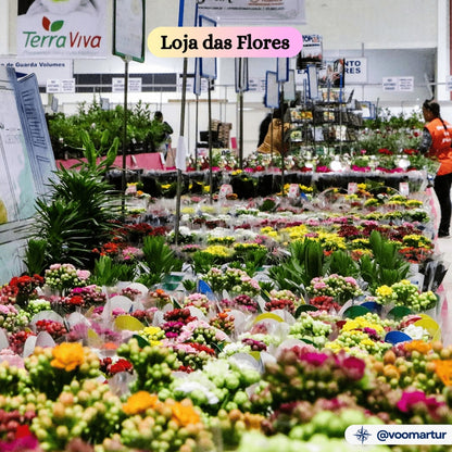 Expoflora, Flores e Morangos, Serra Negra e Pedreira - 04 a 07 Setembro 2025