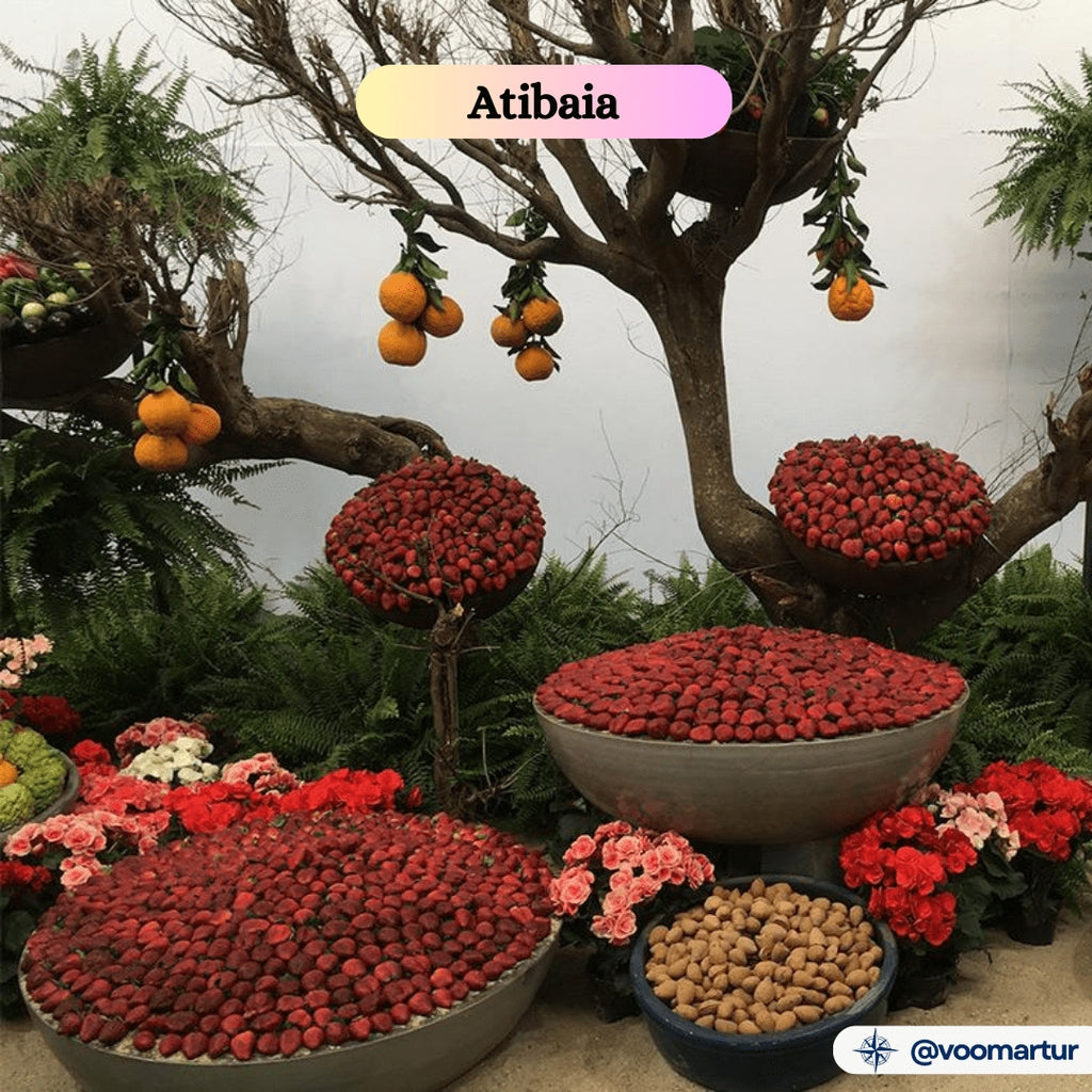 Expoflora, Flores e Morangos, Serra Negra e Pedreira - 04 a 07 Setembro 2025