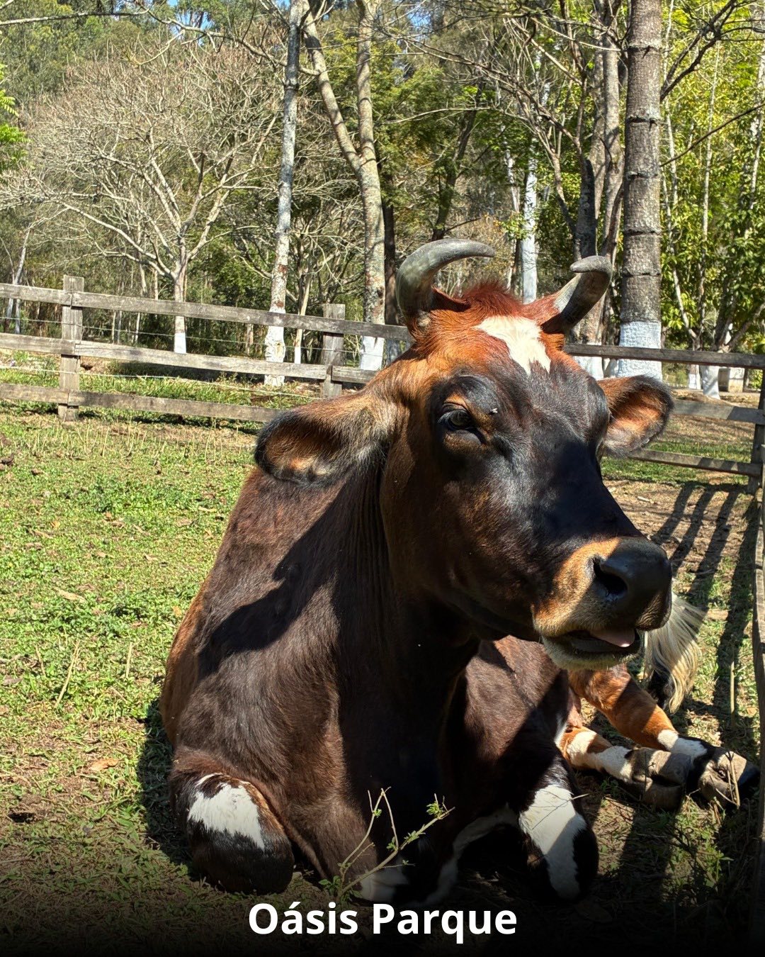 Réveillon na Cidade das Águas - 28 Dezembro a 02 Janeiro