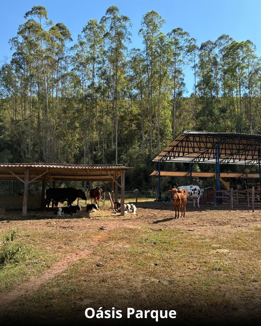 Réveillon na Cidade das Águas - 28 Dezembro a 02 Janeiro