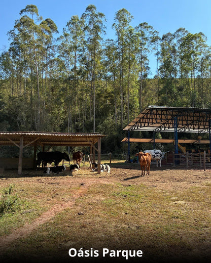 Réveillon na Cidade das Águas - 28 Dezembro a 02 Janeiro