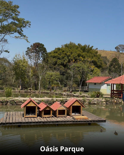 Réveillon na Cidade das Águas - 28 Dezembro a 02 Janeiro