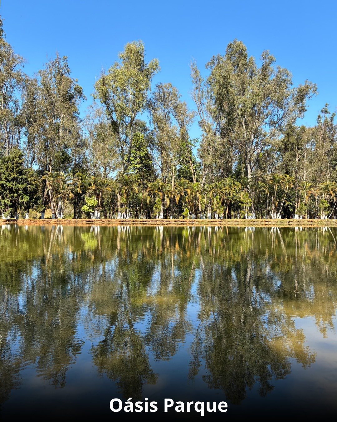 Réveillon na Cidade das Águas - 28 Dezembro a 02 Janeiro