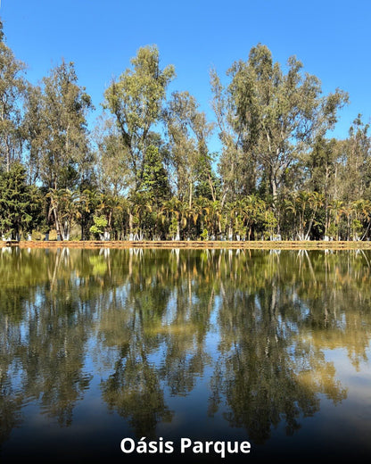 Réveillon na Cidade das Águas - 28 Dezembro a 02 Janeiro