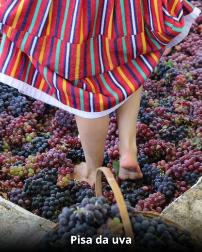 Vindima & Pisa da Uva + Castelo + Itu e Salto - 22 a 25 de Janeiro 2026