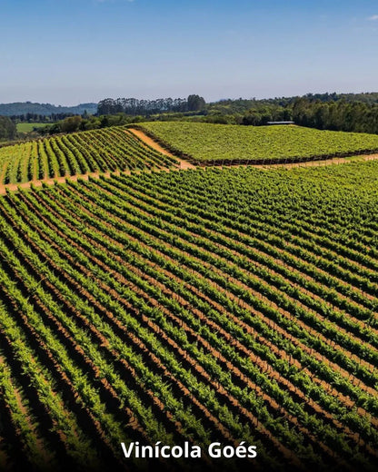 Vindima & Pisa da Uva + Castelo + Itu e Salto - 22 a 25 de Janeiro 2026