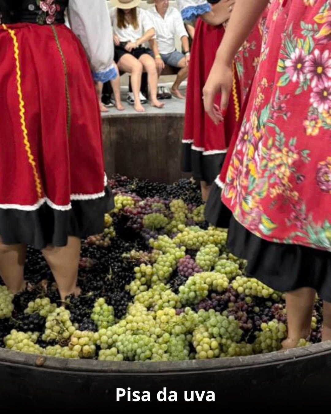 Vindima & Pisa da Uva + Castelo + Itu e Salto - 22 a 25 de Janeiro 2026