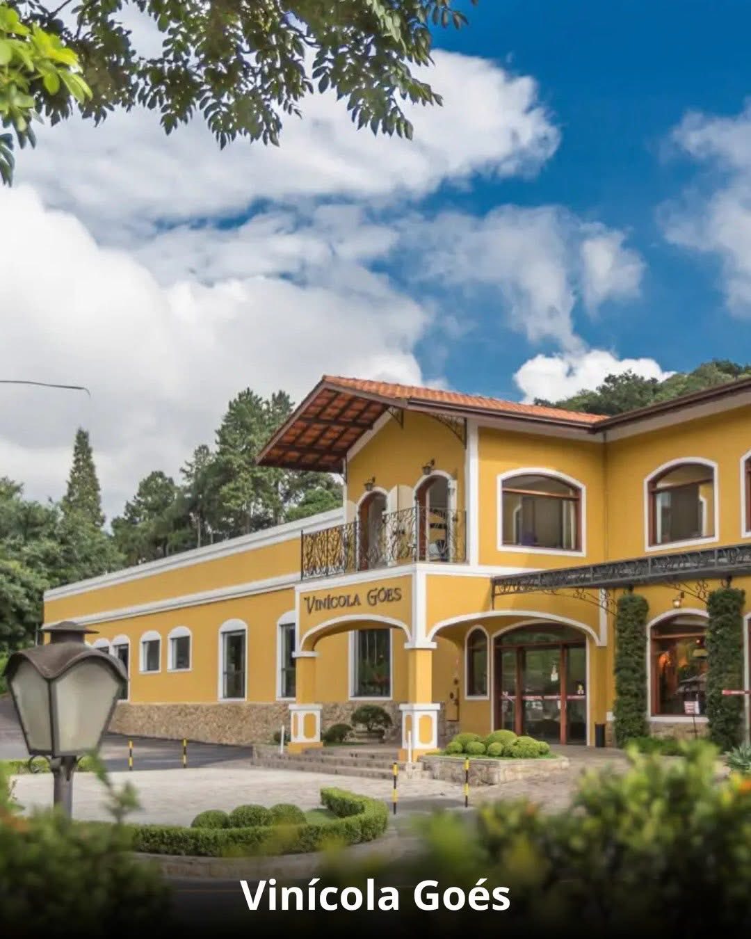 Vindima & Pisa da Uva + Castelo + Itu e Salto - 22 a 25 de Janeiro 2026