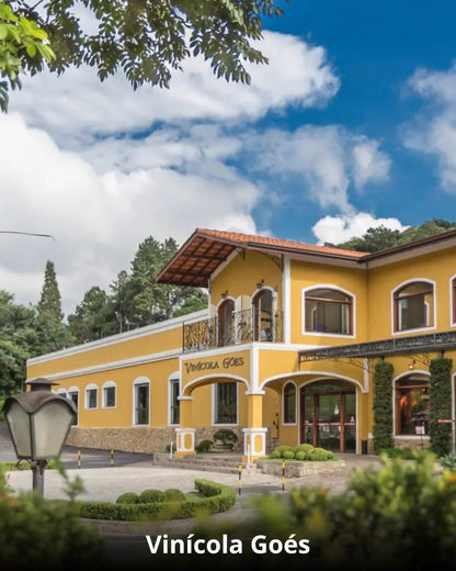 Vindima & Pisa da Uva + Castelo + Itu e Salto - 22 a 25 de Janeiro 2026