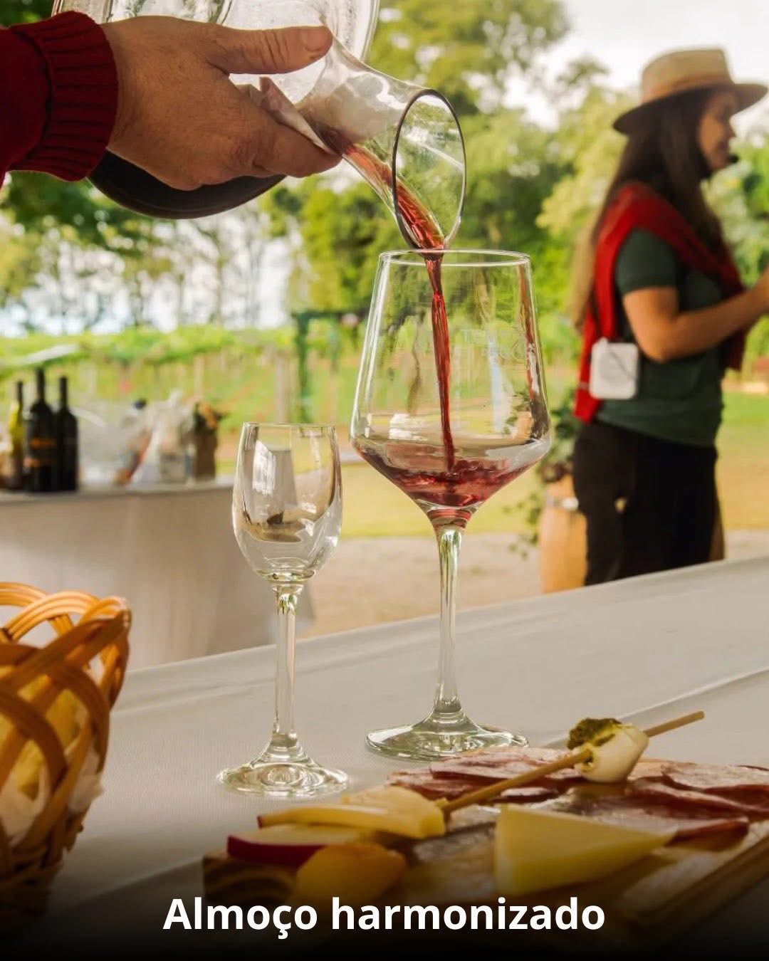 Vindima & Pisa da Uva + Castelo + Itu e Salto - 22 a 25 de Janeiro 2026