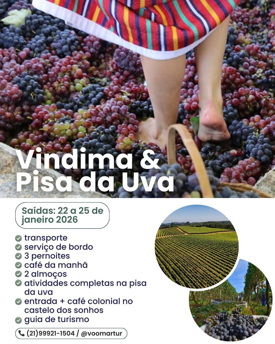 Vindima & Pisa da Uva + Castelo + Itu e Salto - 22 a 25 de Janeiro 2026