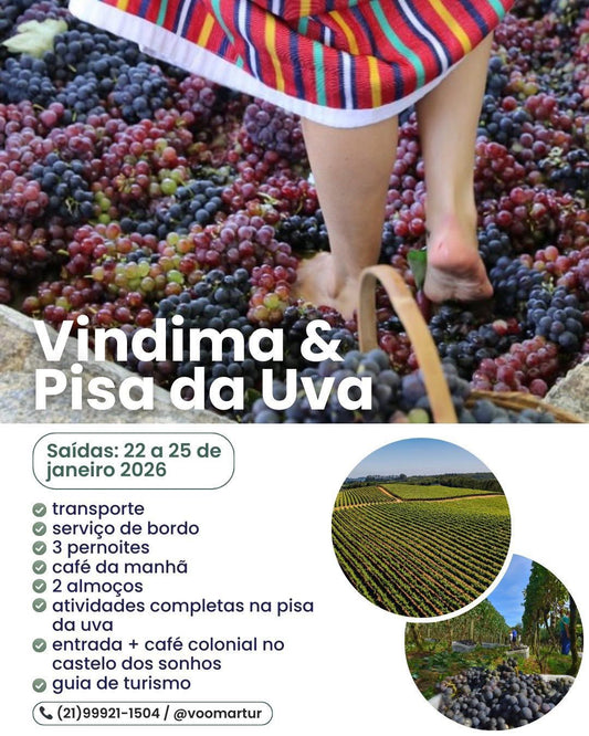 Vindima & Pisa da Uva + Castelo + Itu e Salto - 22 a 25 de Janeiro 2026