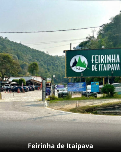 Café no Castelo Medieval + Visita Guiada - 11 de Janeiro 2026