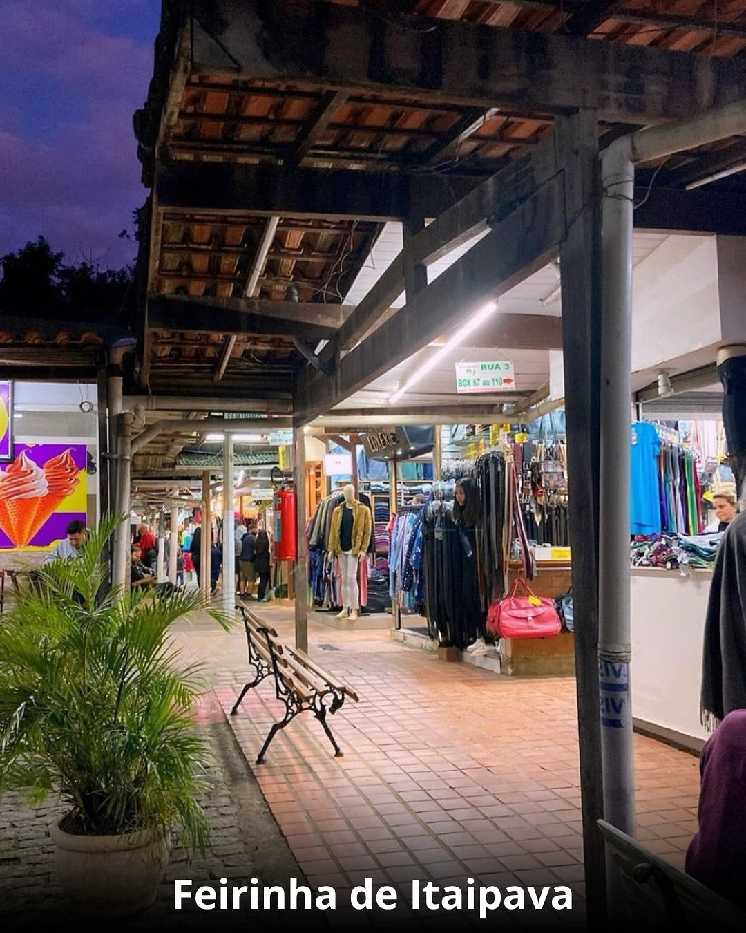 Café no Castelo Medieval + Visita Guiada - 11 de Janeiro 2026