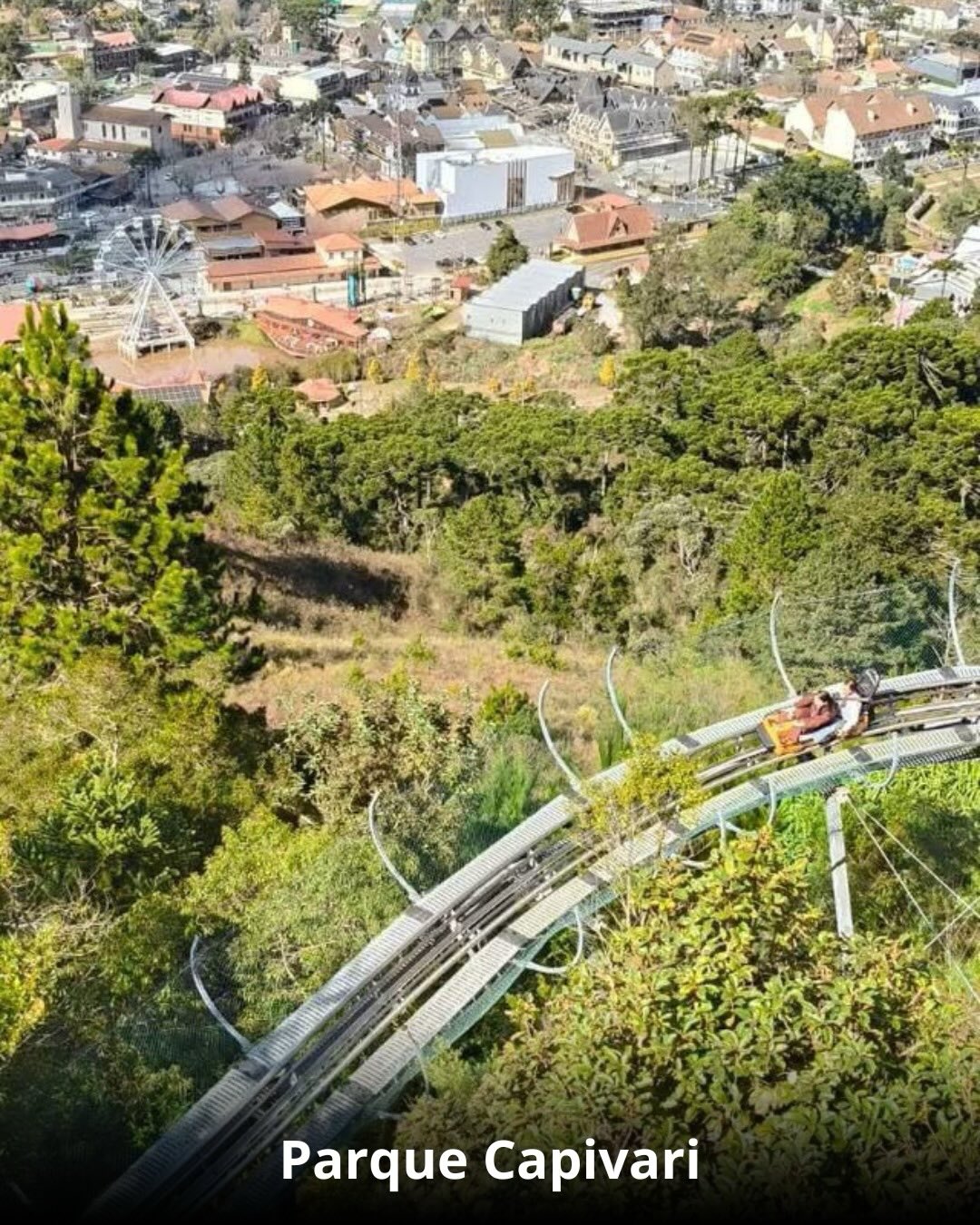 Campos do Jordão & Florada das Cerejeiras - 14 a 16 de Agosto 2026