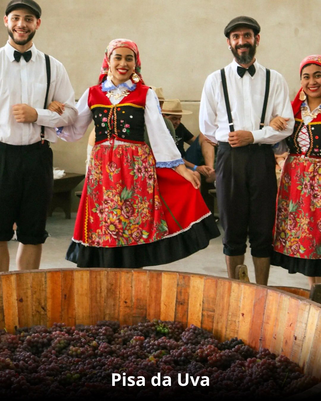Vindima & Pisa da Uva + Castelo + Itu e Salto - 22 a 25 de Janeiro 2026