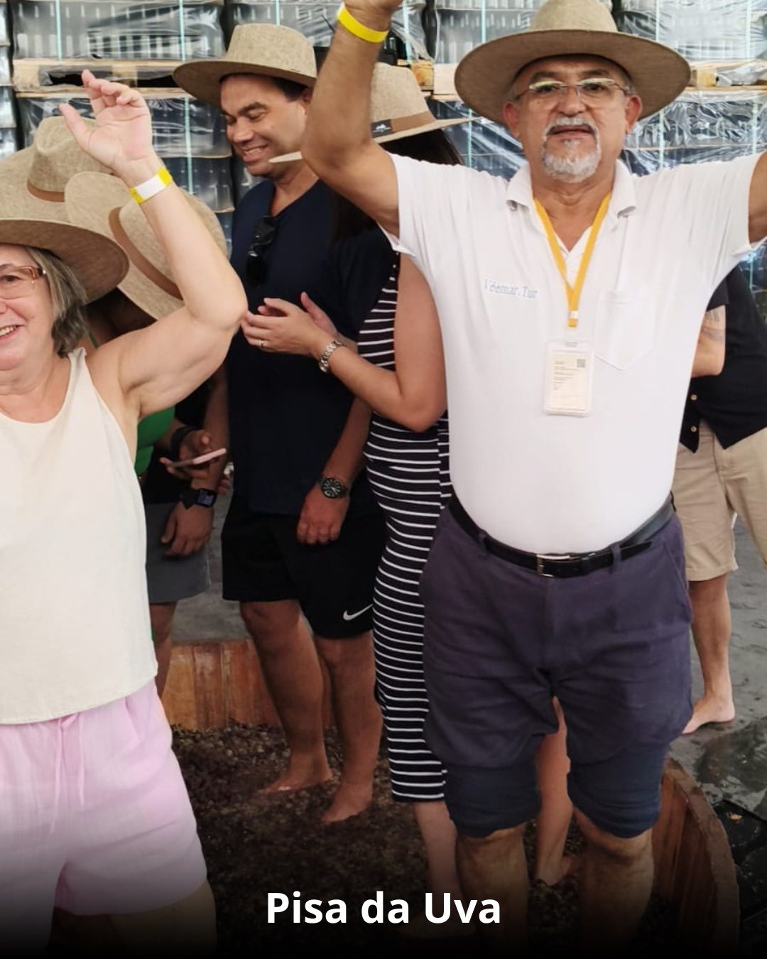 Vindima & Pisa da Uva + Castelo + Itu e Salto - 22 a 25 de Janeiro 2026