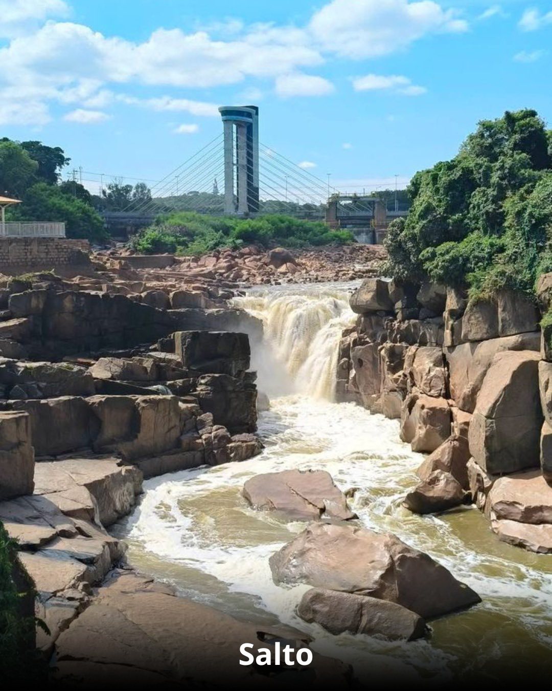 Vindima & Pisa da Uva + Castelo + Itu e Salto - 22 a 25 de Janeiro 2026