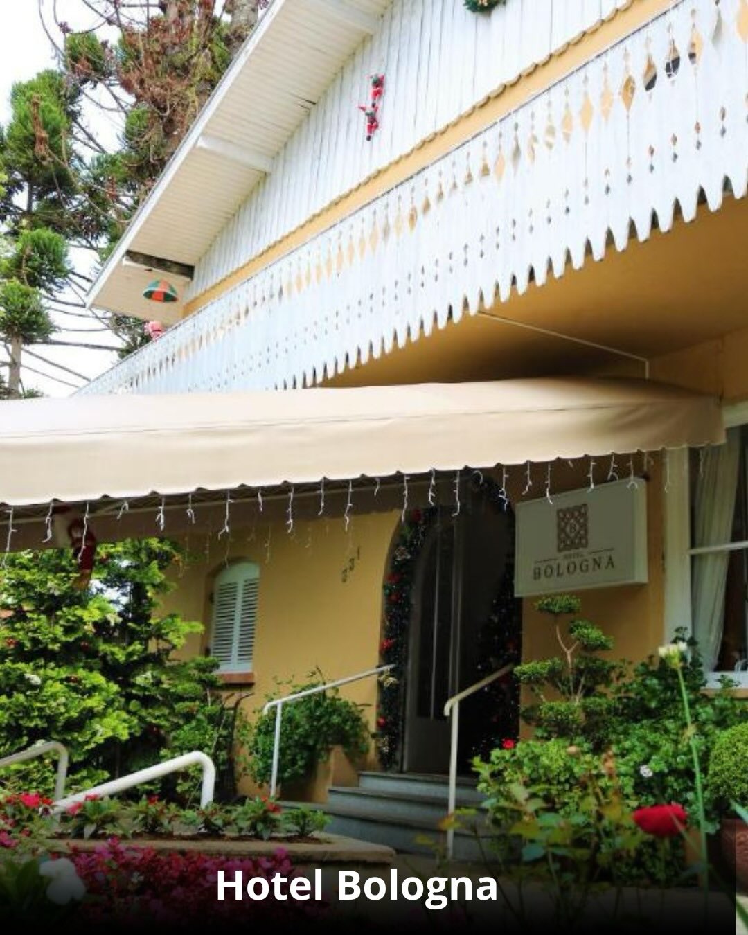 Campos do Jordão & Florada das Cerejeiras - 14 a 16 de Agosto 2026