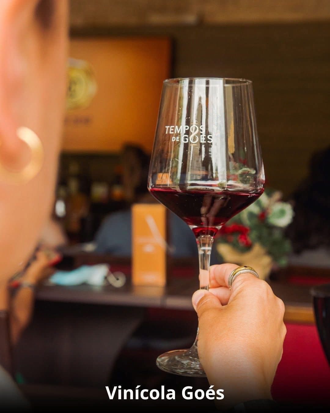 Vindima & Pisa da Uva + Castelo + Itu e Salto - 22 a 25 de Janeiro 2026