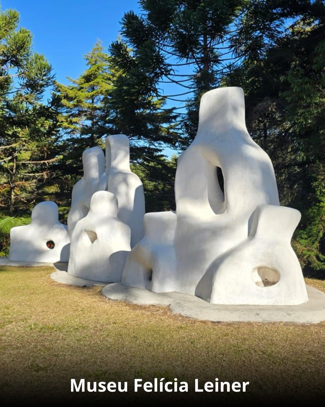 Campos do Jordão & Florada das Cerejeiras - 14 a 16 de Agosto 2026