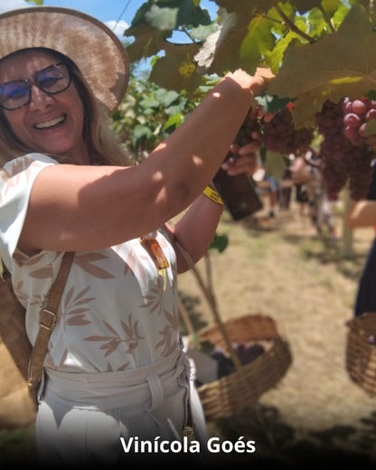 Vindima & Pisa da Uva + Castelo + Itu e Salto - 22 a 25 de Janeiro 2026