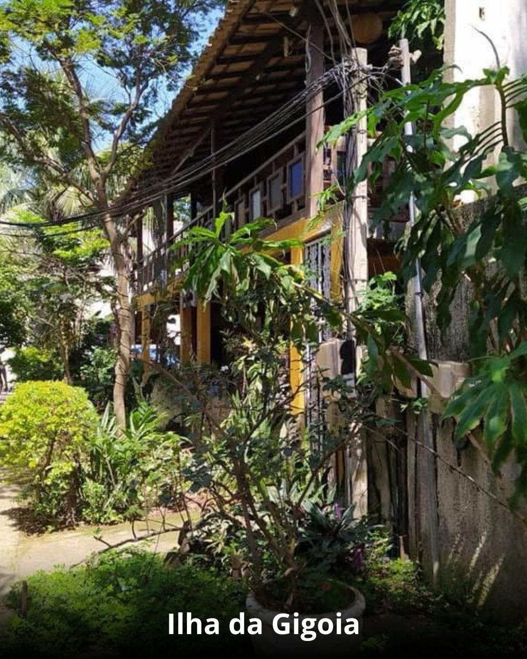 Ilha da Gióia + Museu do Amanhã - 01 de Março