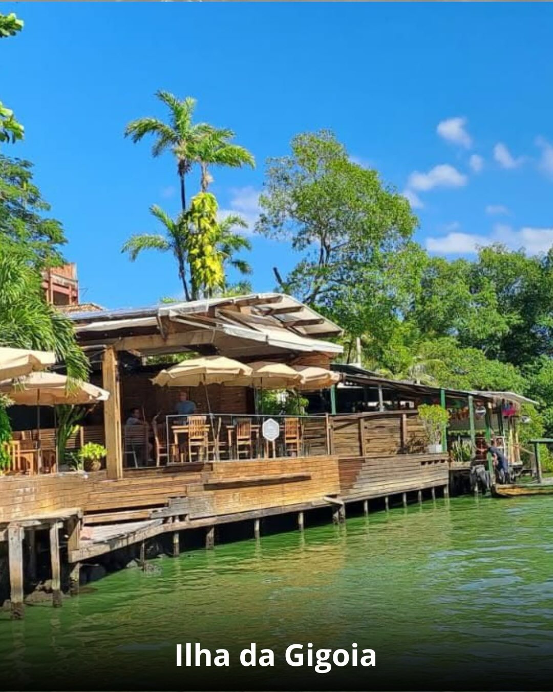 Ilha da Gióia + Museu do Amanhã - 01 de Março