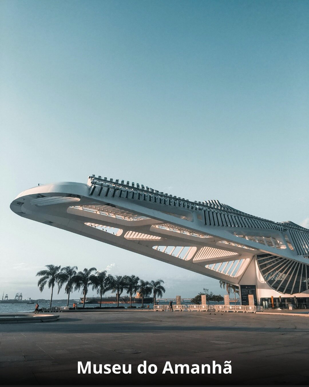 Ilha da Gióia + Museu do Amanhã - 01 de Março